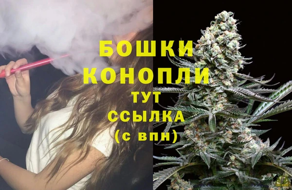 индика Нефтегорск