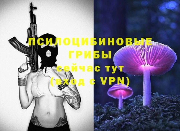 скорость Богданович