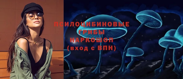 скорость Богданович