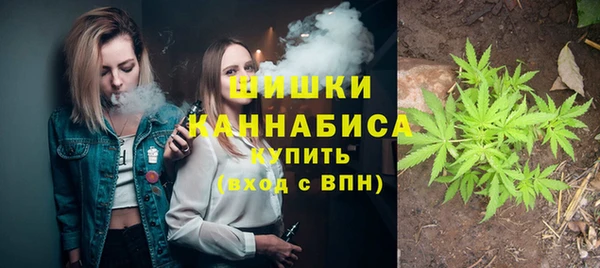 мдпв Богородицк