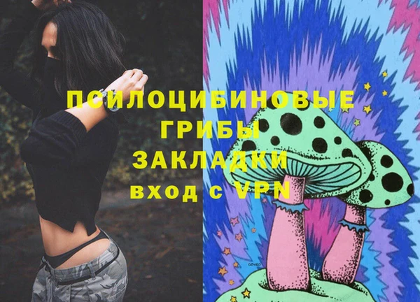 гидропоника Богородск
